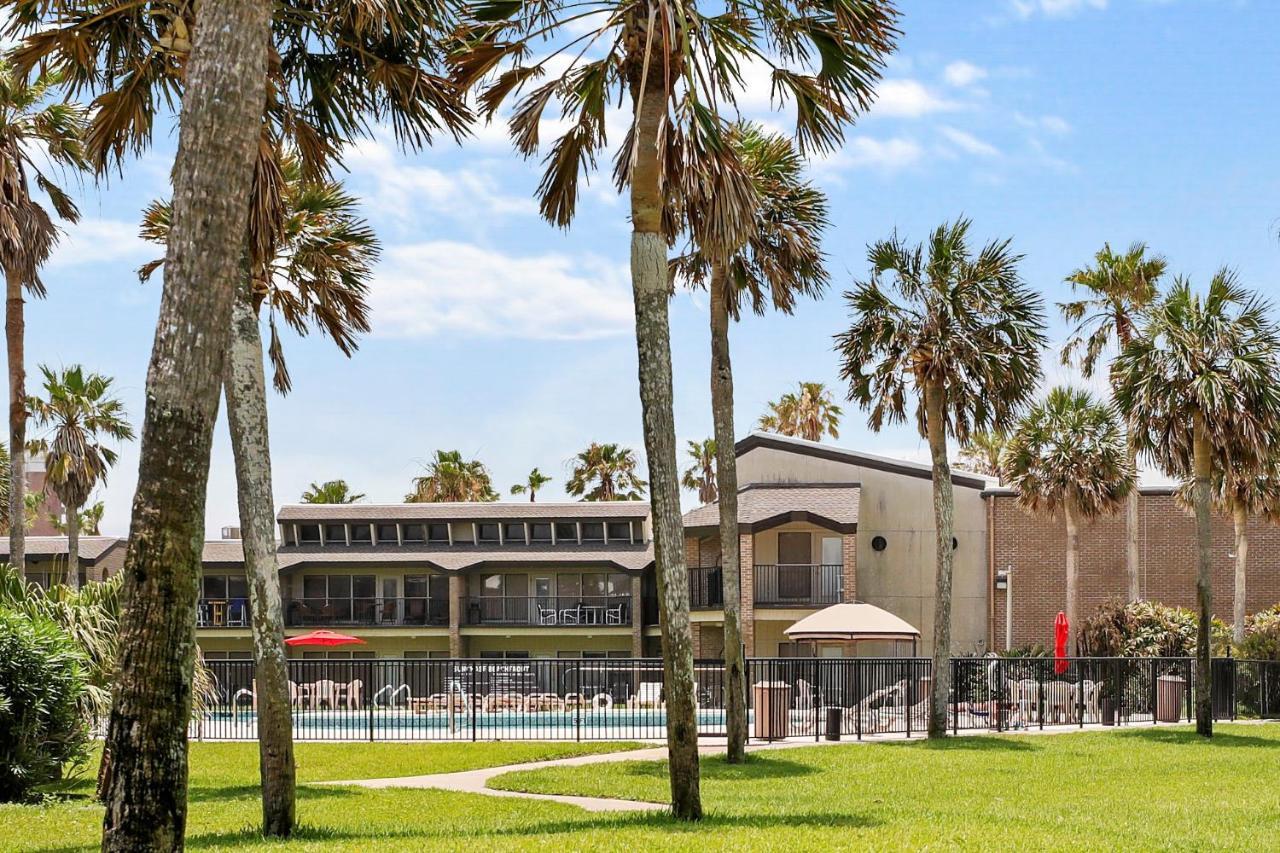 Ground Floor Beachfront Beauty! Steps To The Beach And Pool South Padre Island Zewnętrze zdjęcie